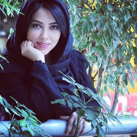 هنرمندانی که در توهین به خبرنگاران کم نگذاشتند! فیلم توهین هنرمندان به خبرنگار ها