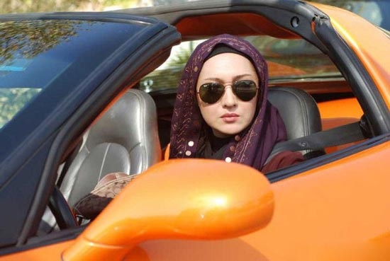 نیکی کریمی بیوگرافی