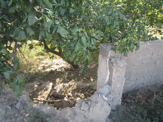 خودکشی جوان 24 ساله شهریار