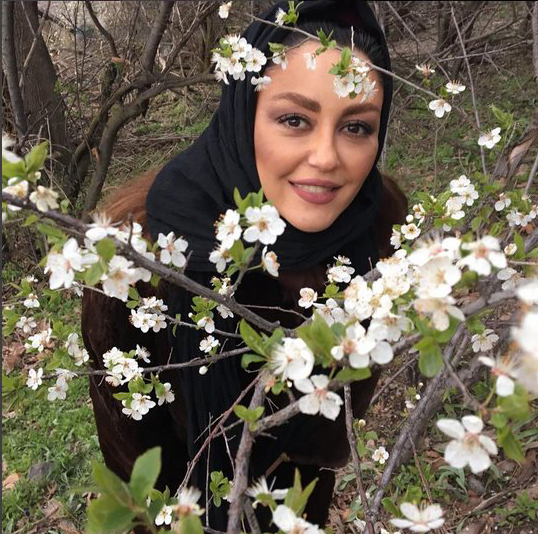 شقایق فراهانی بیوگرافی
