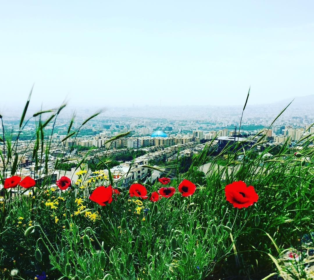 سفره هفت سین بازیگران سفره هفت سین بازیگران