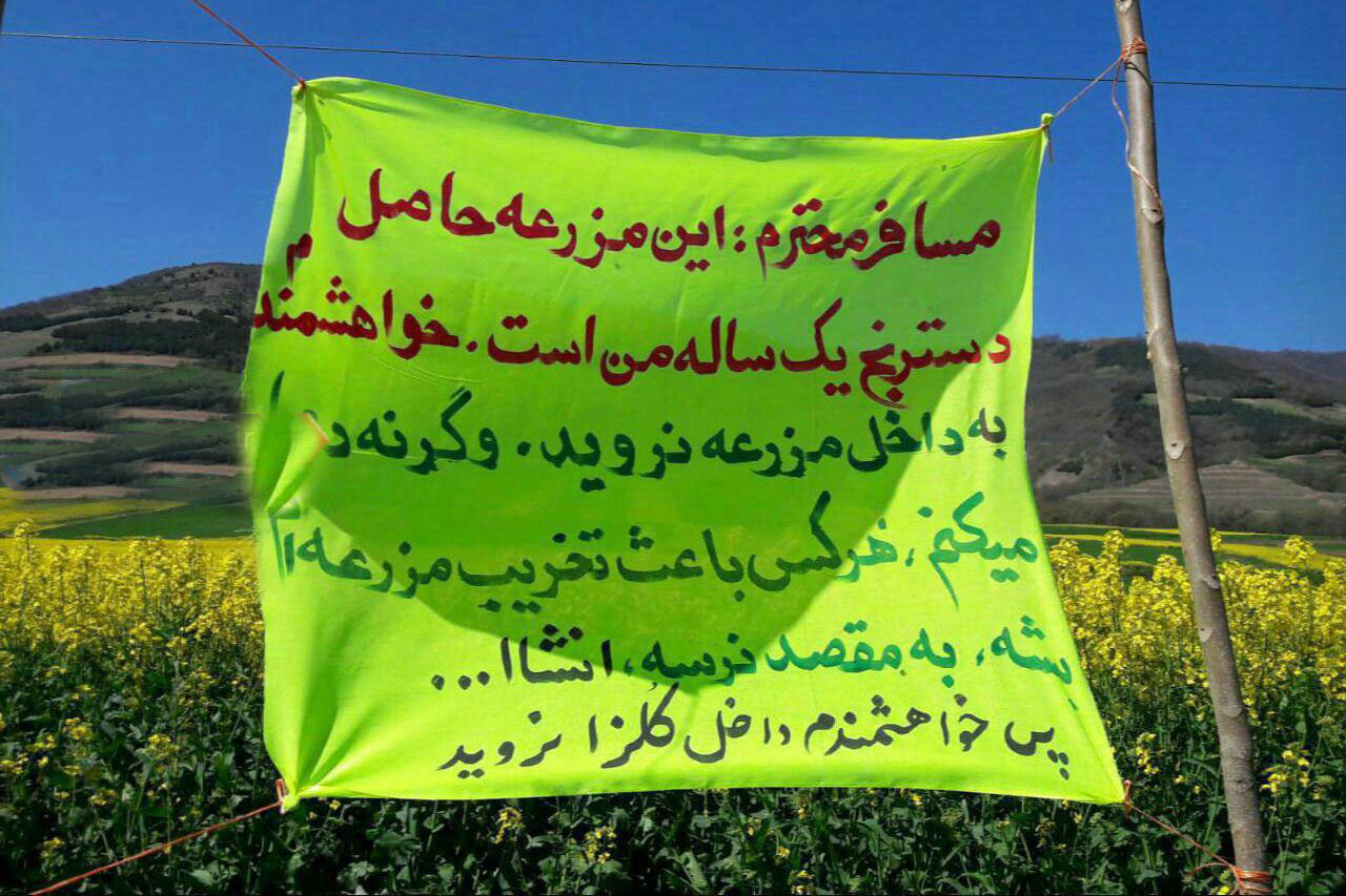 سوژه های بامزه و خنده دار 