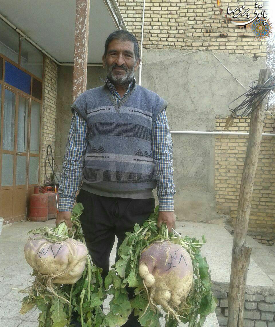  سوژه های بامزه و خنده دار
