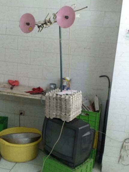 سوژه های بامزه و خنده دار 