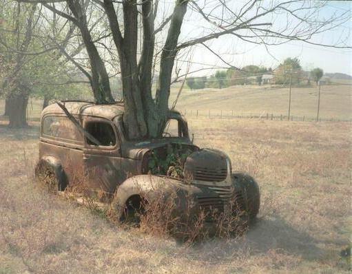 سوژه های بامزه و خنده دار 