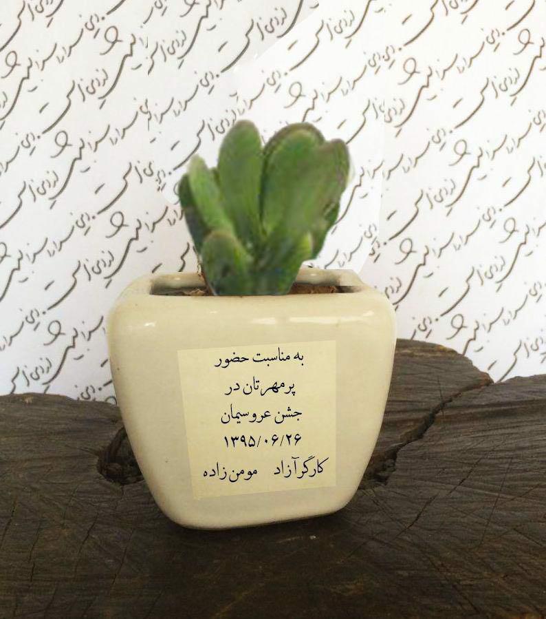 سوژه های بامزه و خنده دار 