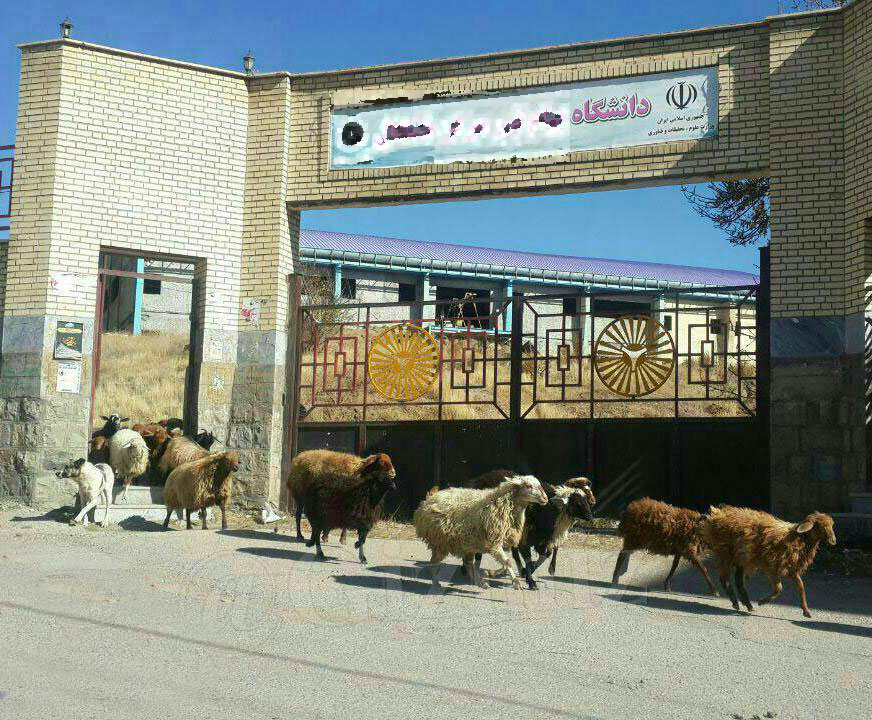 سوژه های بامزه و خنده دار 