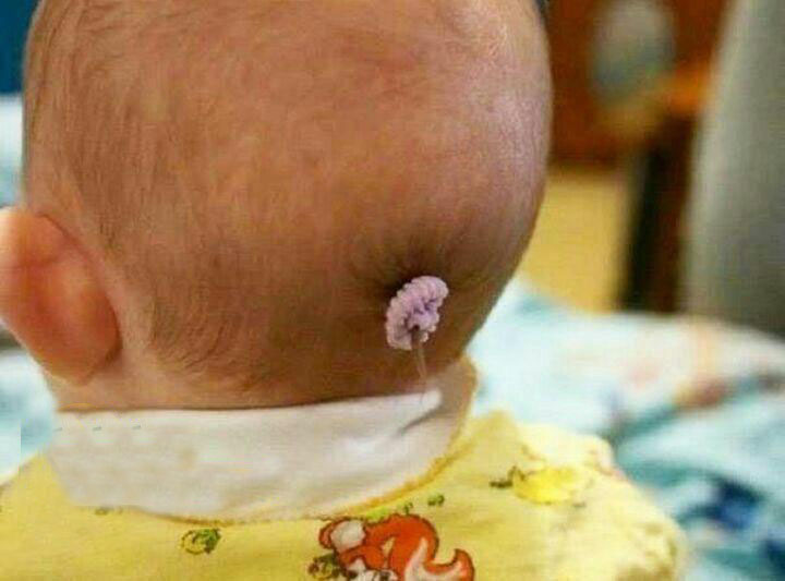 سوژه های بامزه و خنده دار (233) تصاویر سوژه های بامزه و خنده دار