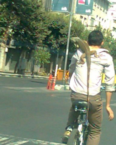 سوژه های بامزه و خنده دار 