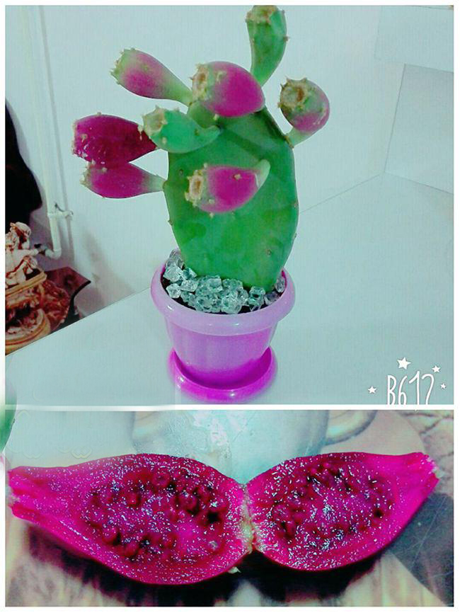  سوژه های بامزه و خنده دار
