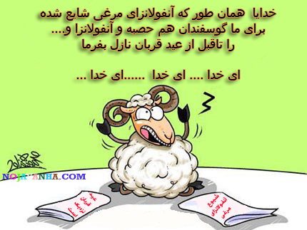 مجموعه کاریکاتورهای طنز عید قربان 