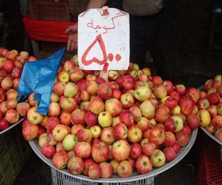 سوژه های بامزه و خنده دار  