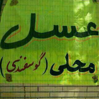  سوژه های بامزه و خنده دار