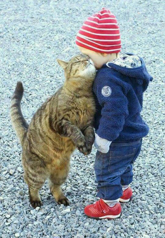 سوژه های بامزه و خنده دار