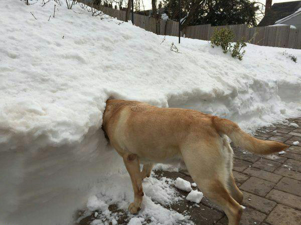  سوژه های بامزه و خنده دار