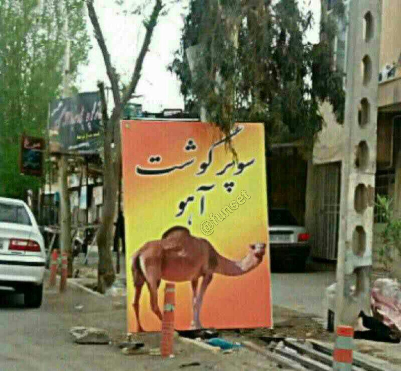 سوژه های بامزه و خنده دار 
