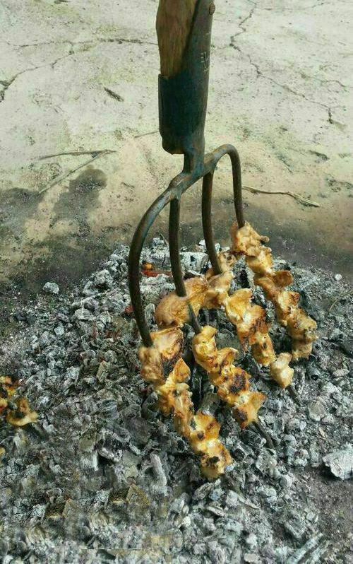 سوژه های بامزه و خنده دار 