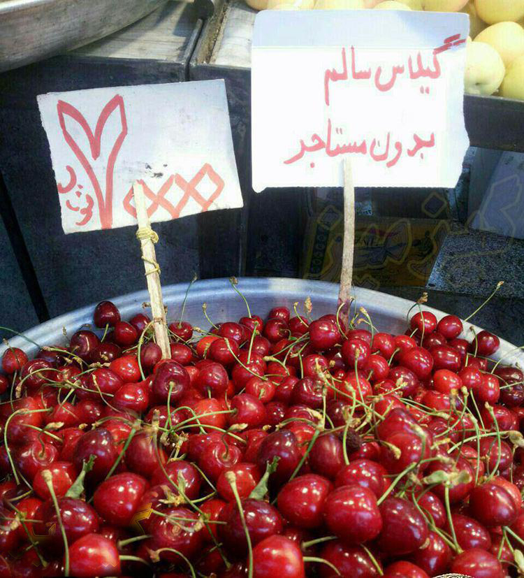 سوژه های بامزه و خنده دار 