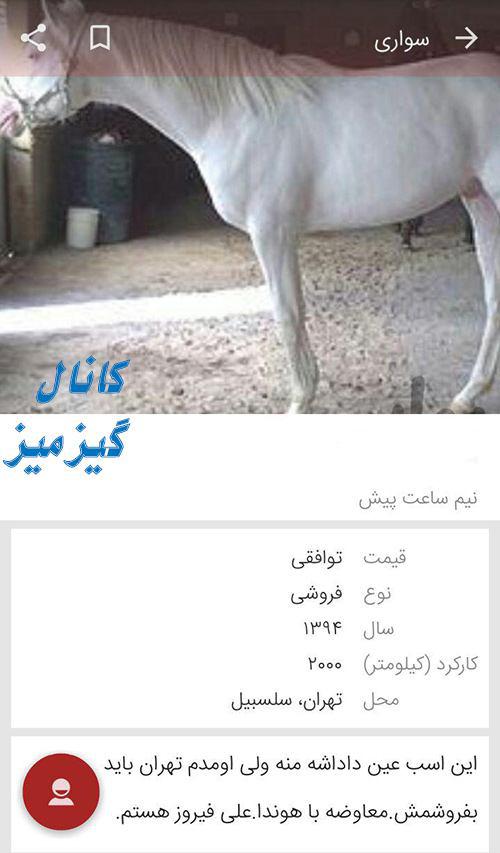سوژه های بامزه و خنده دار 