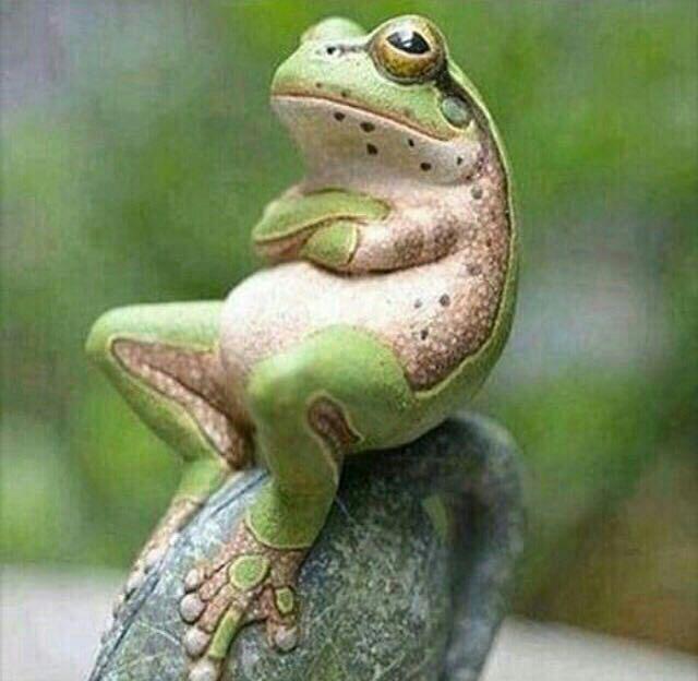  سوژه های بامزه و خنده دار