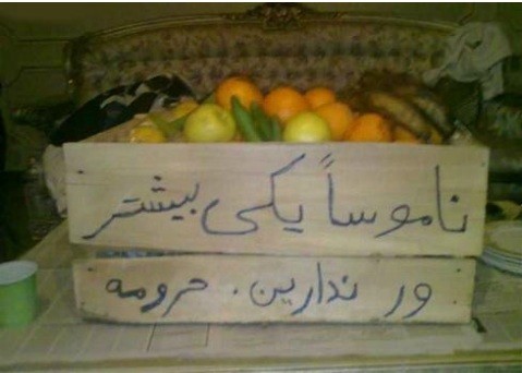 سوژه های بامزه و خنده دار 