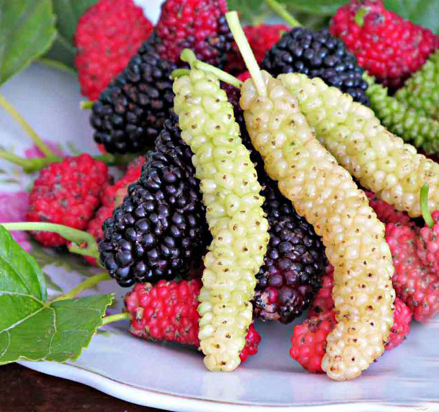  سوژه های بامزه و خنده دار