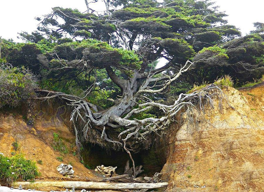  سوژه های بامزه و خنده دار