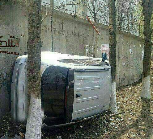 سوژه های بامزه و خنده دار 