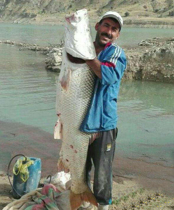 سوژه های بامزه و خنده دار 