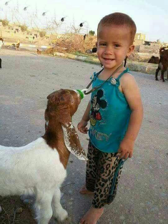  سوژه های بامزه و خنده دار