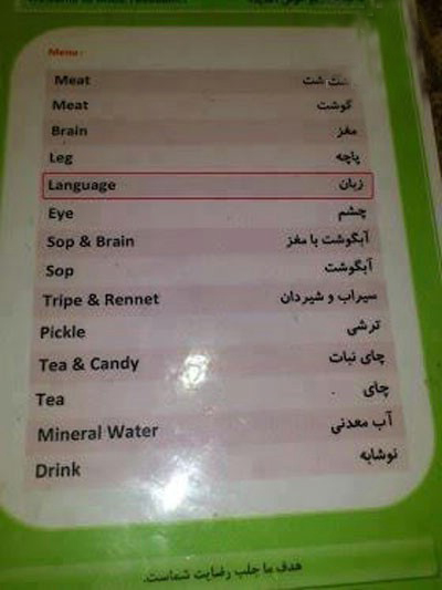 سوژه های بامزه و خنده دار (6) تصاویر سوژه های بامزه و خنده دار
